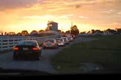 DSC_2662.JPG
